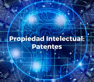 bajo peso Patentes-catalogo-web