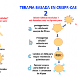 ¿Cómo curar enfermedades hereditarias? Con CRISPR-Cas y edición genómica ?