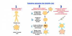 ¿Cómo curar enfermedades hereditarias? Con CRISPR-Cas y edición genómica ?